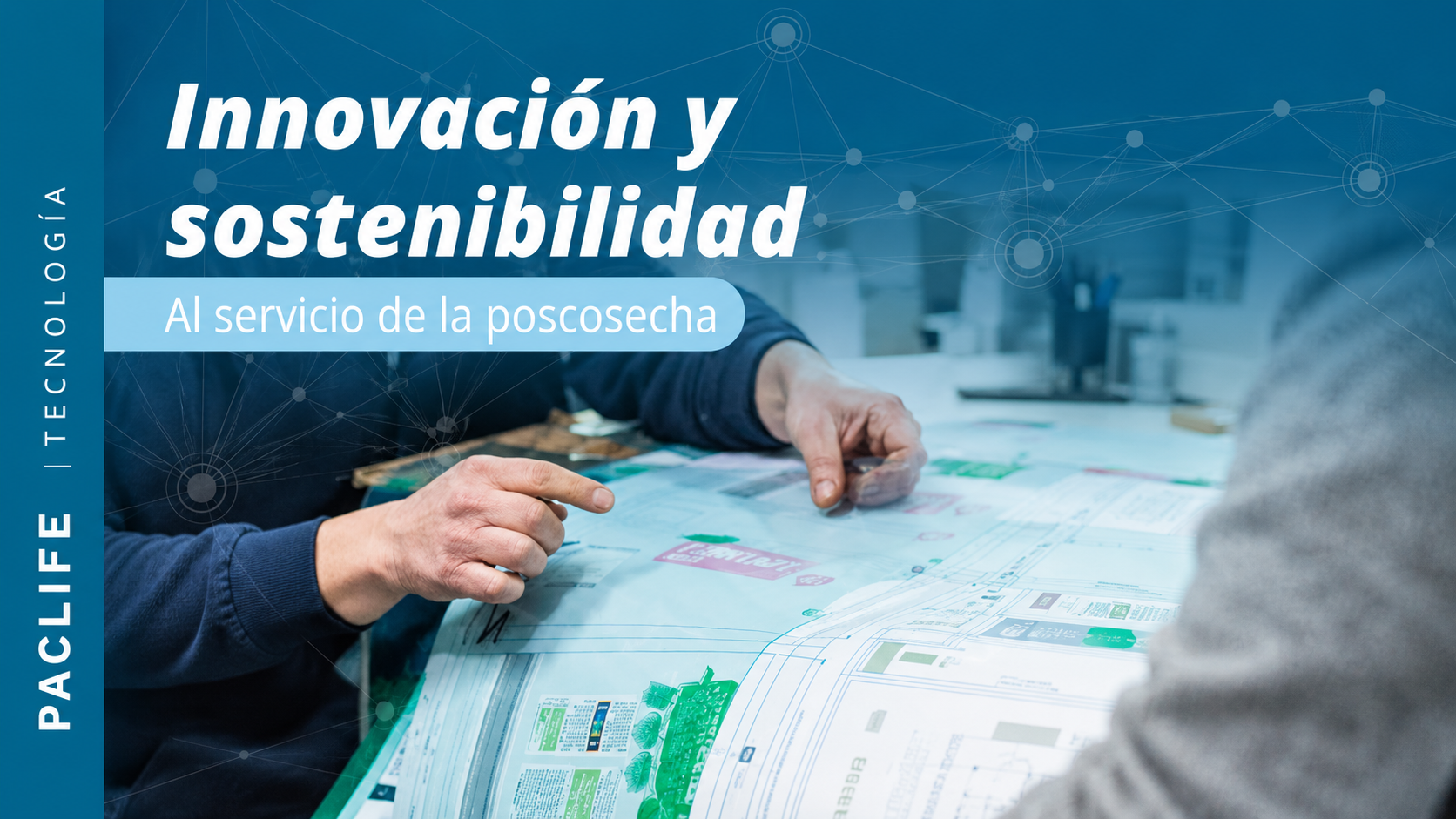 Envases inteligentes y asesoría técnica para una poscosecha de excelencia.png